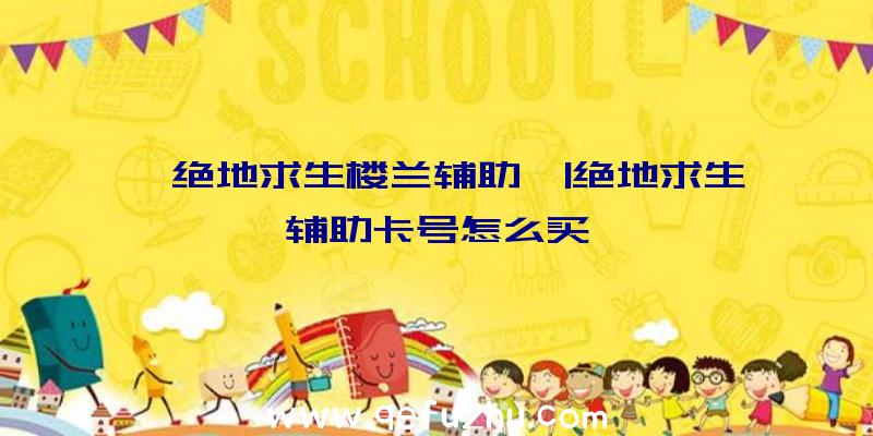 「绝地求生楼兰辅助」|绝地求生辅助卡号怎么买